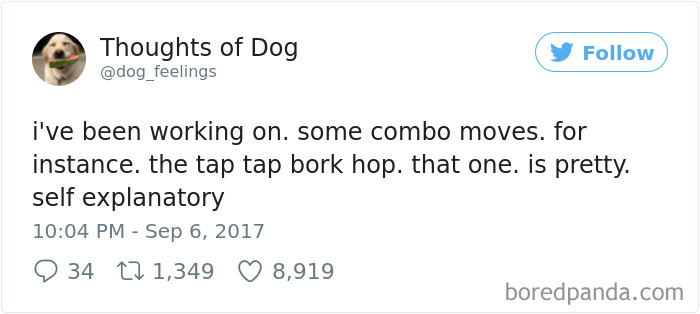 182 Of The Funniest Dog Thoughts That Dog Owners Will Understand Too Well 182 Of The Funniest Dog Thoughts That Dog Owners Will Understand Too Well