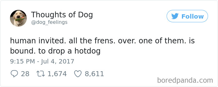 182 Of The Funniest Dog Thoughts That Dog Owners Will Understand Too Well 182 Of The Funniest Dog Thoughts That Dog Owners Will Understand Too Well