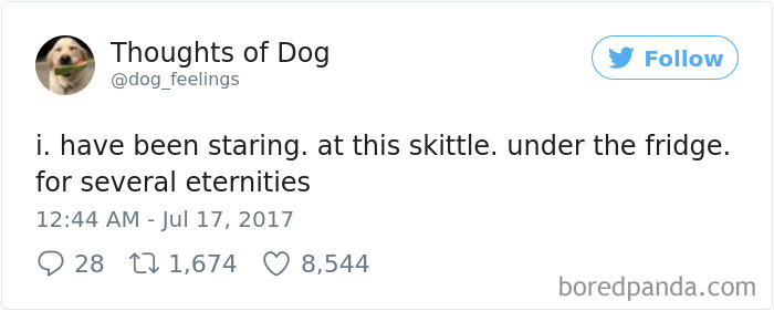 182 Of The Funniest Dog Thoughts That Dog Owners Will Understand Too Well 182 Of The Funniest Dog Thoughts That Dog Owners Will Understand Too Well