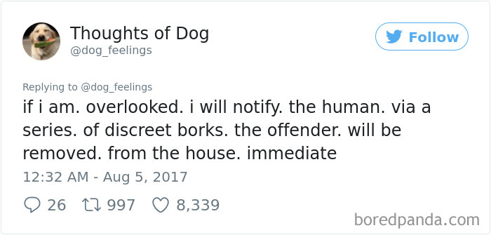 182 Of The Funniest Dog Thoughts That Dog Owners Will Understand Too Well 182 Of The Funniest Dog Thoughts That Dog Owners Will Understand Too Well