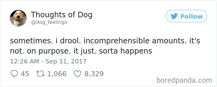 182 Of The Funniest Dog Thoughts That Dog Owners Will Understand Too Well 182 Of The Funniest Dog Thoughts That Dog Owners Will Understand Too Well
