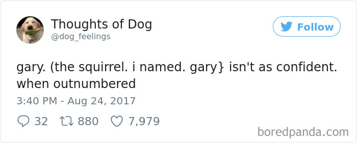 182 Of The Funniest Dog Thoughts That Dog Owners Will Understand Too Well 182 Of The Funniest Dog Thoughts That Dog Owners Will Understand Too Well