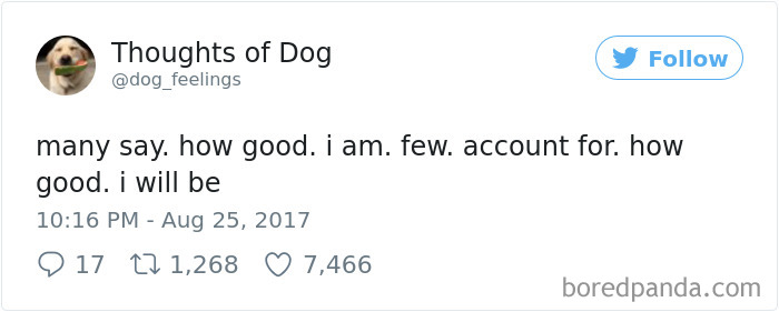 182 Of The Funniest Dog Thoughts That Dog Owners Will Understand Too Well 182 Of The Funniest Dog Thoughts That Dog Owners Will Understand Too Well