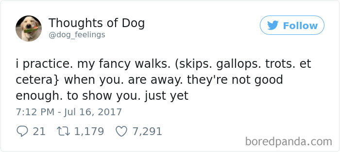 182 Of The Funniest Dog Thoughts That Dog Owners Will Understand Too Well 182 Of The Funniest Dog Thoughts That Dog Owners Will Understand Too Well