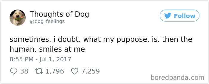 182 Of The Funniest Dog Thoughts That Dog Owners Will Understand Too Well 182 Of The Funniest Dog Thoughts That Dog Owners Will Understand Too Well