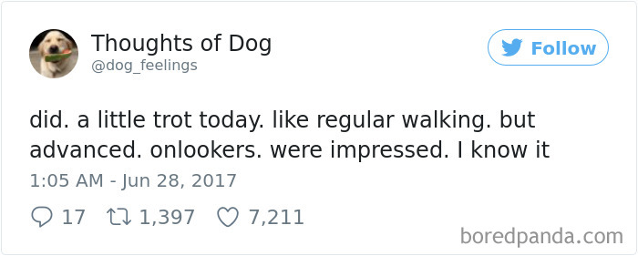 182 Of The Funniest Dog Thoughts That Dog Owners Will Understand Too Well 182 Of The Funniest Dog Thoughts That Dog Owners Will Understand Too Well