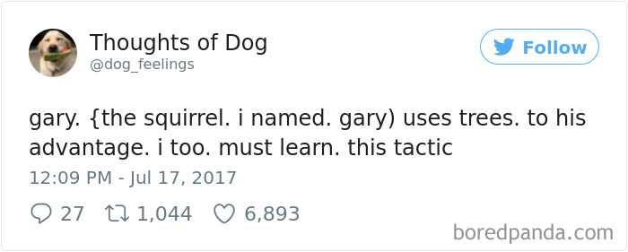 182 Of The Funniest Dog Thoughts That Dog Owners Will Understand Too Well 182 Of The Funniest Dog Thoughts That Dog Owners Will Understand Too Well