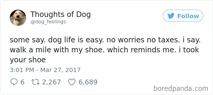 182 Of The Funniest Dog Thoughts That Dog Owners Will Understand Too Well 182 Of The Funniest Dog Thoughts That Dog Owners Will Understand Too Well