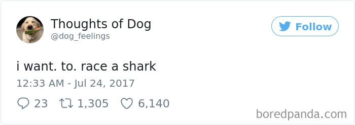 182 Of The Funniest Dog Thoughts That Dog Owners Will Understand Too Well 182 Of The Funniest Dog Thoughts That Dog Owners Will Understand Too Well