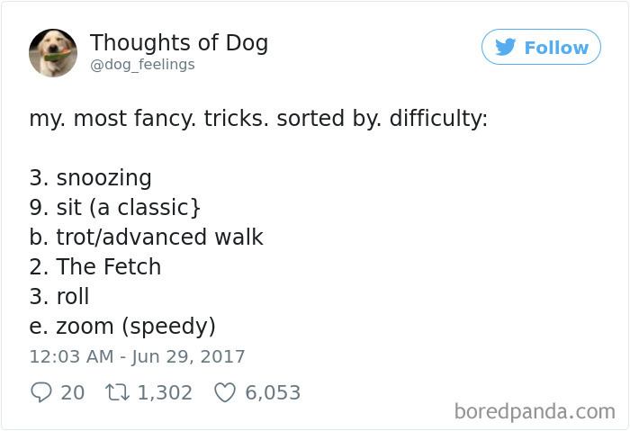 182 Of The Funniest Dog Thoughts That Dog Owners Will Understand Too Well 182 Of The Funniest Dog Thoughts That Dog Owners Will Understand Too Well