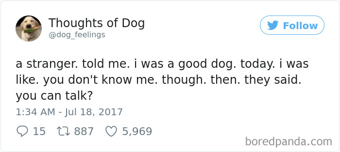 182 Of The Funniest Dog Thoughts That Dog Owners Will Understand Too Well 182 Of The Funniest Dog Thoughts That Dog Owners Will Understand Too Well
