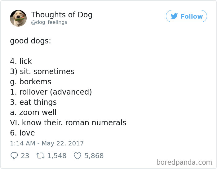 182 Of The Funniest Dog Thoughts That Dog Owners Will Understand Too Well 182 Of The Funniest Dog Thoughts That Dog Owners Will Understand Too Well