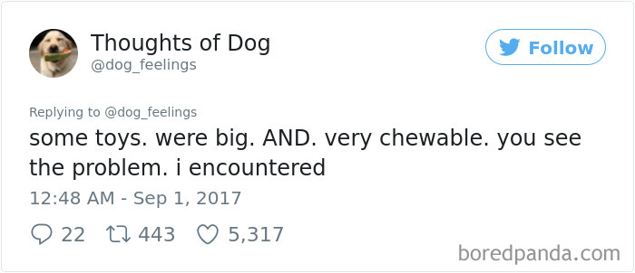 182 Of The Funniest Dog Thoughts That Dog Owners Will Understand Too Well 182 Of The Funniest Dog Thoughts That Dog Owners Will Understand Too Well