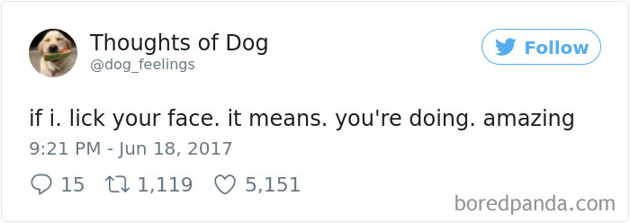 182 Of The Funniest Dog Thoughts That Dog Owners Will Understand Too Well 182 Of The Funniest Dog Thoughts That Dog Owners Will Understand Too Well