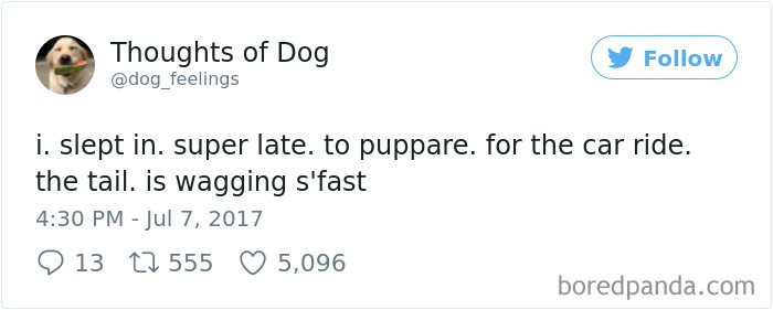 182 Of The Funniest Dog Thoughts That Dog Owners Will Understand Too Well 182 Of The Funniest Dog Thoughts That Dog Owners Will Understand Too Well