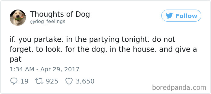 182 Of The Funniest Dog Thoughts That Dog Owners Will Understand Too Well 182 Of The Funniest Dog Thoughts That Dog Owners Will Understand Too Well