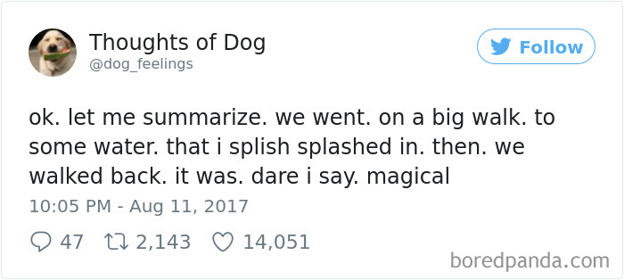 182 Of The Funniest Dog Thoughts That Dog Owners Will Understand Too Well 182 Of The Funniest Dog Thoughts That Dog Owners Will Understand Too Well