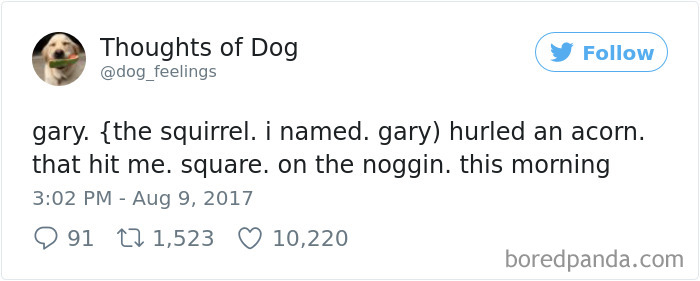 182 Of The Funniest Dog Thoughts That Dog Owners Will Understand Too Well 182 Of The Funniest Dog Thoughts That Dog Owners Will Understand Too Well