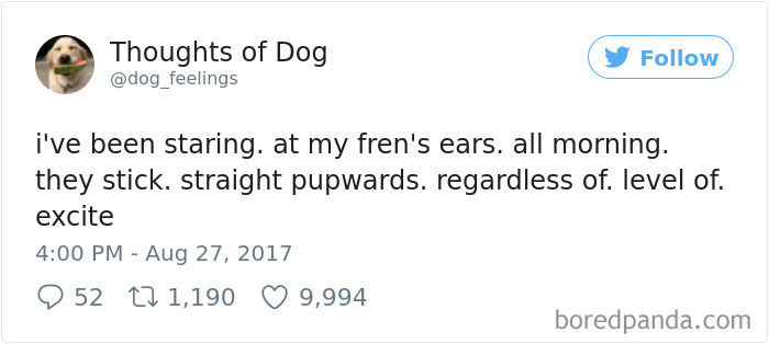 182 Of The Funniest Dog Thoughts That Dog Owners Will Understand Too Well 182 Of The Funniest Dog Thoughts That Dog Owners Will Understand Too Well