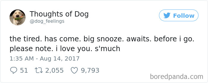 182 Of The Funniest Dog Thoughts That Dog Owners Will Understand Too Well 182 Of The Funniest Dog Thoughts That Dog Owners Will Understand Too Well