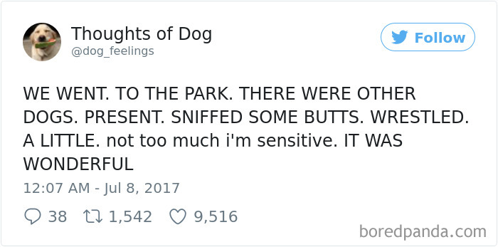 182 Of The Funniest Dog Thoughts That Dog Owners Will Understand Too Well 182 Of The Funniest Dog Thoughts That Dog Owners Will Understand Too Well