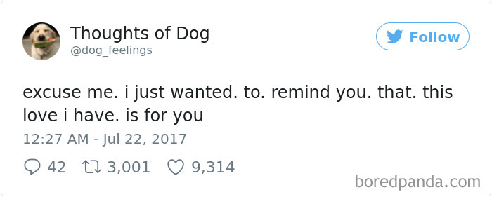 182 Of The Funniest Dog Thoughts That Dog Owners Will Understand Too Well 182 Of The Funniest Dog Thoughts That Dog Owners Will Understand Too Well