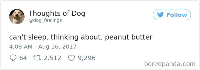 182 Of The Funniest Dog Thoughts That Dog Owners Will Understand Too Well 182 Of The Funniest Dog Thoughts That Dog Owners Will Understand Too Well