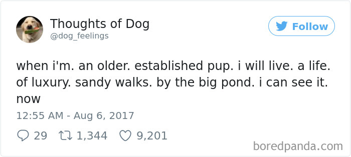 182 Of The Funniest Dog Thoughts That Dog Owners Will Understand Too Well 182 Of The Funniest Dog Thoughts That Dog Owners Will Understand Too Well