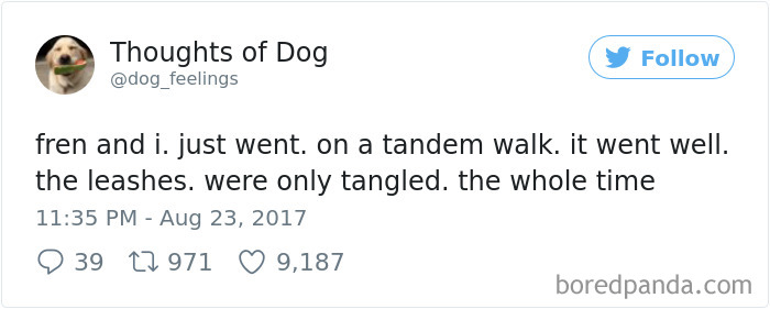182 Of The Funniest Dog Thoughts That Dog Owners Will Understand Too Well 182 Of The Funniest Dog Thoughts That Dog Owners Will Understand Too Well