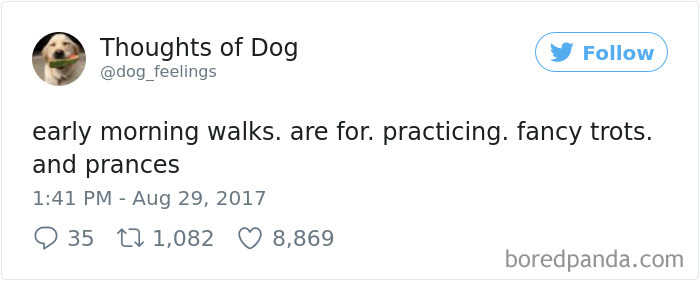 182 Of The Funniest Dog Thoughts That Dog Owners Will Understand Too Well 182 Of The Funniest Dog Thoughts That Dog Owners Will Understand Too Well