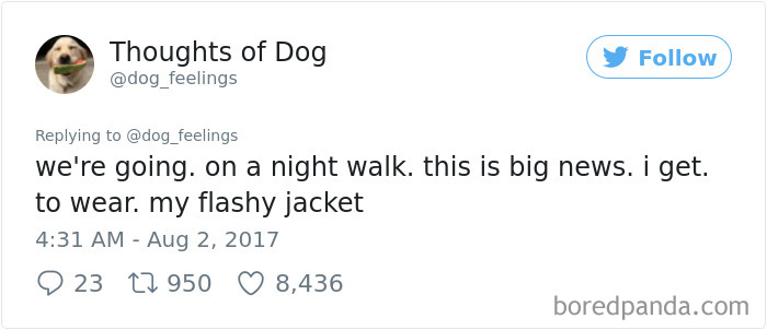 182 Of The Funniest Dog Thoughts That Dog Owners Will Understand Too Well 182 Of The Funniest Dog Thoughts That Dog Owners Will Understand Too Well