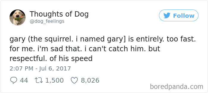 182 Of The Funniest Dog Thoughts That Dog Owners Will Understand Too Well 182 Of The Funniest Dog Thoughts That Dog Owners Will Understand Too Well