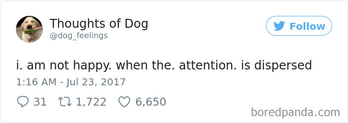 182 Of The Funniest Dog Thoughts That Dog Owners Will Understand Too Well 182 Of The Funniest Dog Thoughts That Dog Owners Will Understand Too Well