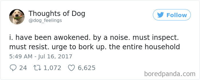 182 Of The Funniest Dog Thoughts That Dog Owners Will Understand Too Well 182 Of The Funniest Dog Thoughts That Dog Owners Will Understand Too Well