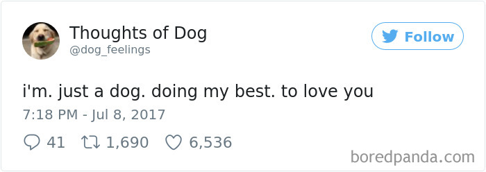 182 Of The Funniest Dog Thoughts That Dog Owners Will Understand Too Well 182 Of The Funniest Dog Thoughts That Dog Owners Will Understand Too Well