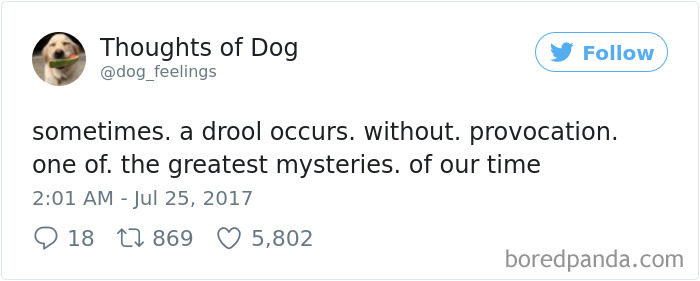 182 Of The Funniest Dog Thoughts That Dog Owners Will Understand Too Well 182 Of The Funniest Dog Thoughts That Dog Owners Will Understand Too Well