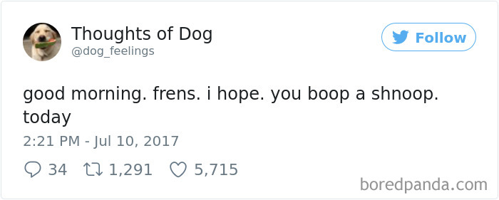 182 Of The Funniest Dog Thoughts That Dog Owners Will Understand Too Well 182 Of The Funniest Dog Thoughts That Dog Owners Will Understand Too Well