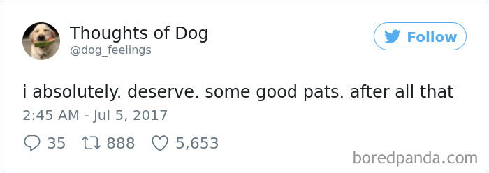 182 Of The Funniest Dog Thoughts That Dog Owners Will Understand Too Well 182 Of The Funniest Dog Thoughts That Dog Owners Will Understand Too Well