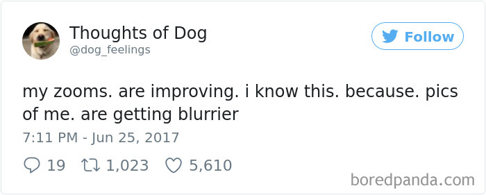 182 Of The Funniest Dog Thoughts That Dog Owners Will Understand Too Well 182 Of The Funniest Dog Thoughts That Dog Owners Will Understand Too Well