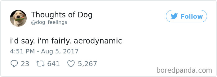 182 Of The Funniest Dog Thoughts That Dog Owners Will Understand Too Well 182 Of The Funniest Dog Thoughts That Dog Owners Will Understand Too Well