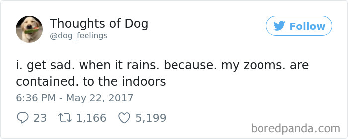 182 Of The Funniest Dog Thoughts That Dog Owners Will Understand Too Well 182 Of The Funniest Dog Thoughts That Dog Owners Will Understand Too Well