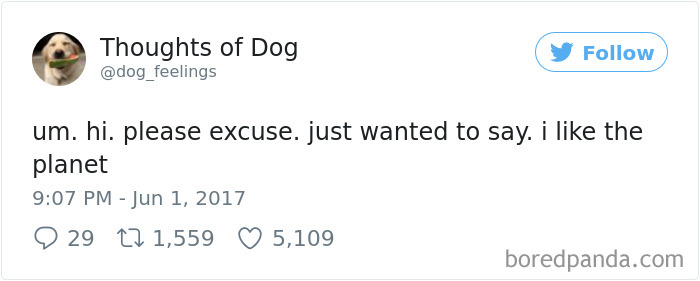 182 Of The Funniest Dog Thoughts That Dog Owners Will Understand Too Well 182 Of The Funniest Dog Thoughts That Dog Owners Will Understand Too Well