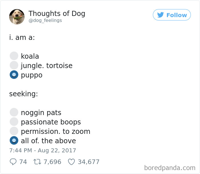 182 Of The Funniest Dog Thoughts That Dog Owners Will Understand Too Well 182 Of The Funniest Dog Thoughts That Dog Owners Will Understand Too Well