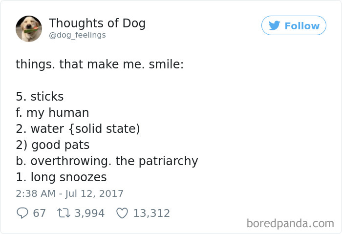 182 Of The Funniest Dog Thoughts That Dog Owners Will Understand Too Well 182 Of The Funniest Dog Thoughts That Dog Owners Will Understand Too Well