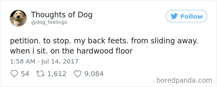 182 Of The Funniest Dog Thoughts That Dog Owners Will Understand Too Well 182 Of The Funniest Dog Thoughts That Dog Owners Will Understand Too Well