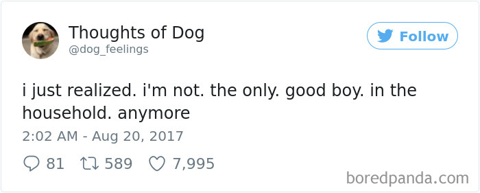 182 Of The Funniest Dog Thoughts That Dog Owners Will Understand Too Well 182 Of The Funniest Dog Thoughts That Dog Owners Will Understand Too Well