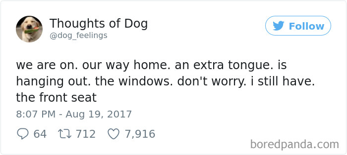 182 Of The Funniest Dog Thoughts That Dog Owners Will Understand Too Well 182 Of The Funniest Dog Thoughts That Dog Owners Will Understand Too Well