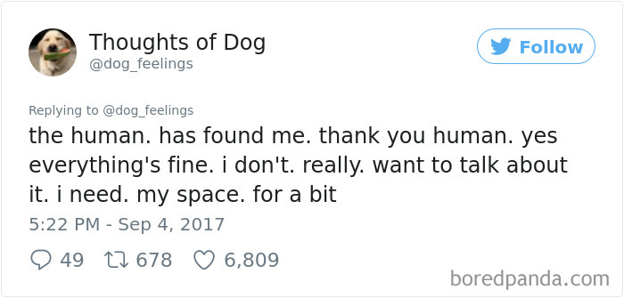 182 Of The Funniest Dog Thoughts That Dog Owners Will Understand Too Well 182 Of The Funniest Dog Thoughts That Dog Owners Will Understand Too Well
