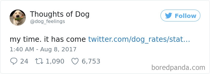 182 Of The Funniest Dog Thoughts That Dog Owners Will Understand Too Well 182 Of The Funniest Dog Thoughts That Dog Owners Will Understand Too Well