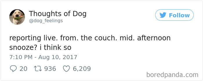 182 Of The Funniest Dog Thoughts That Dog Owners Will Understand Too Well 182 Of The Funniest Dog Thoughts That Dog Owners Will Understand Too Well
